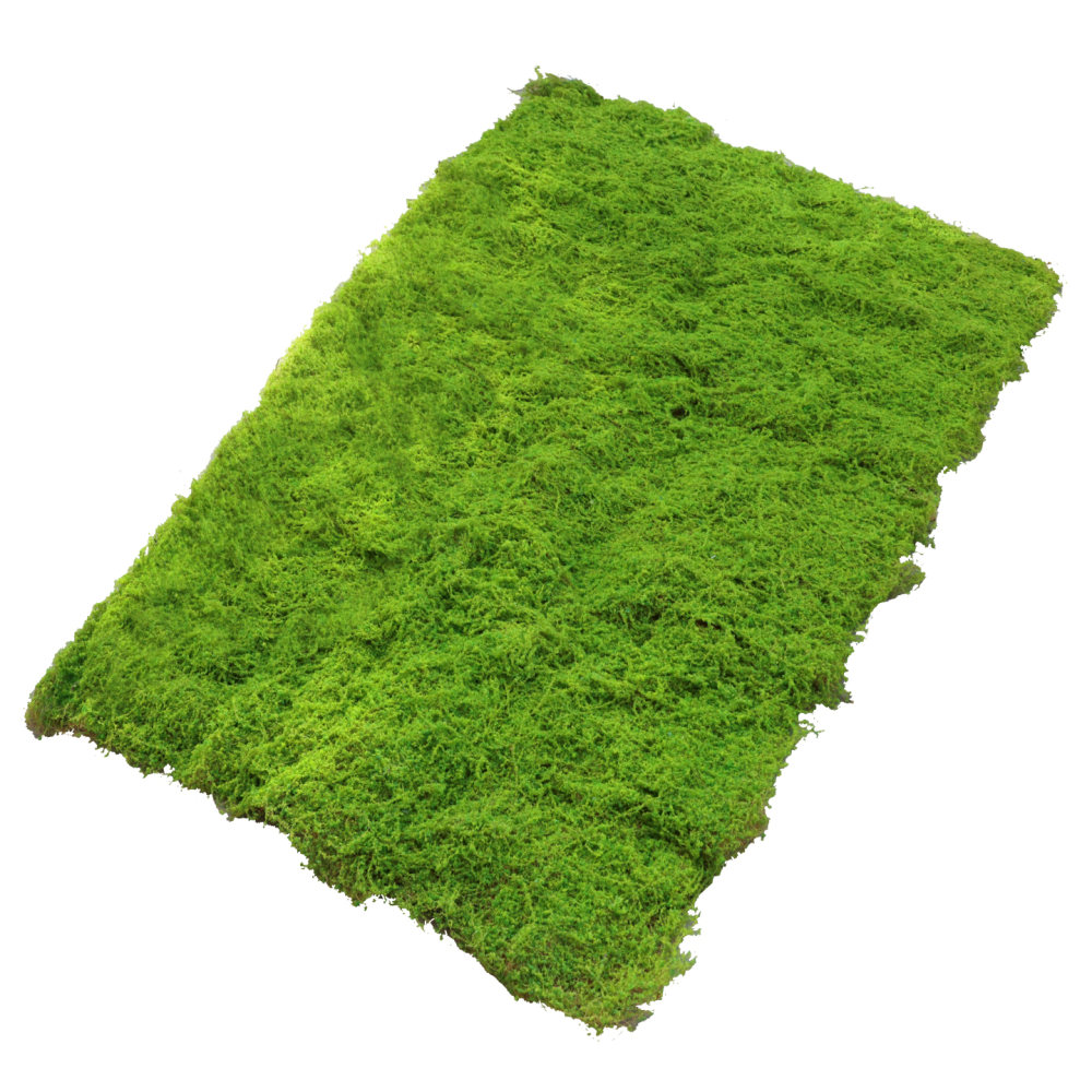 Preserved Moss Sheet - Tapis de gazon artificiel en fausse