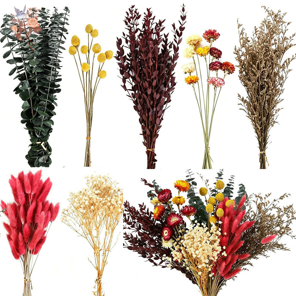 Ensemble de fleurs séchées en  - Florist Flower Supply avis et prix