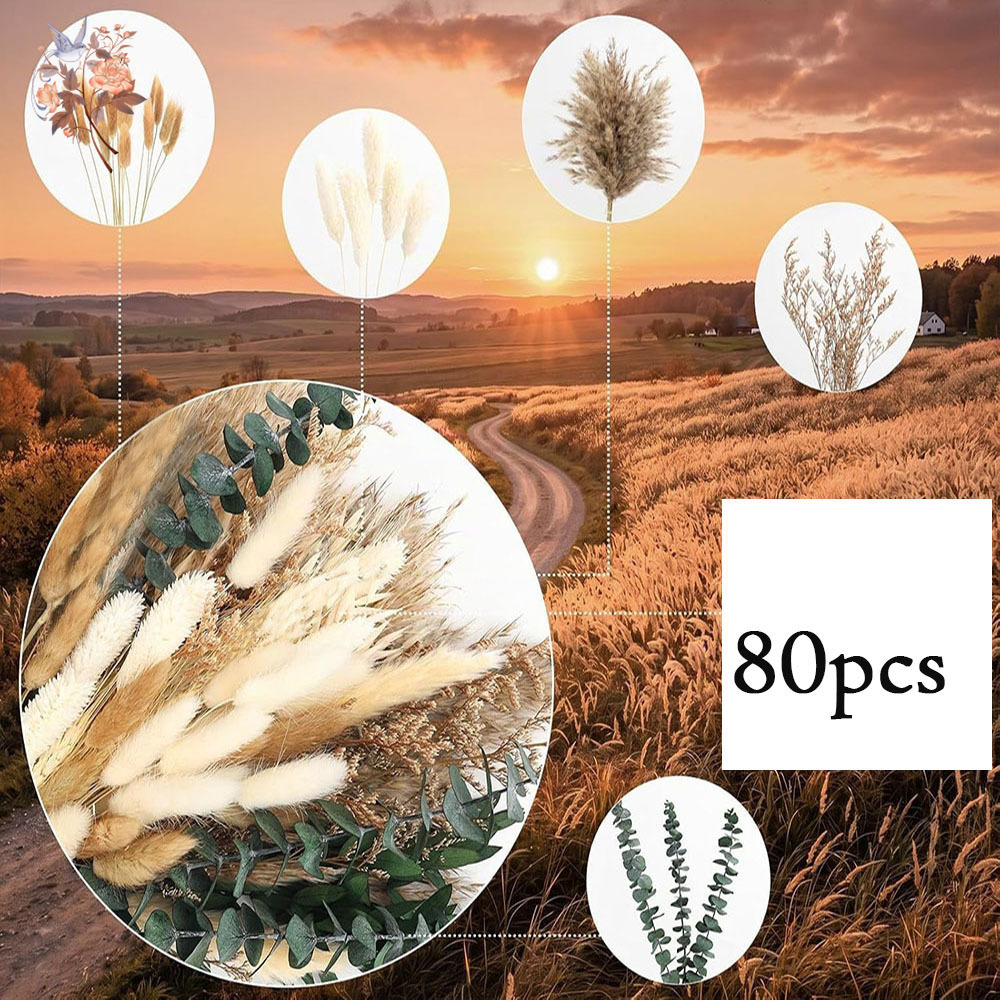 80 pièces de fleurs séchées na - Eucalyptus Preserved avis et prix