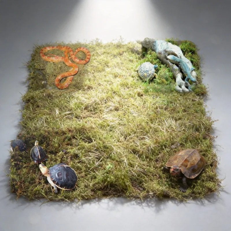 Mousse naturelle séchée pour t - Preserved Moss Sheet avis et prix