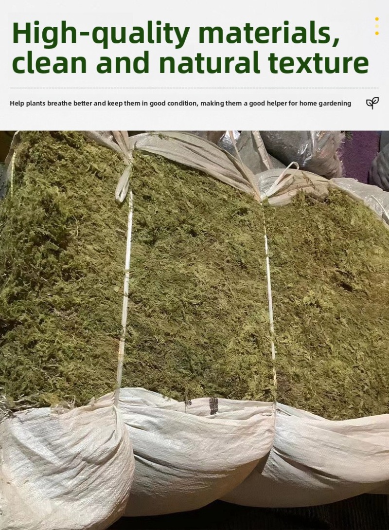 Mousse naturelle séchée pour t - Preserved Moss Sheet avis et prix