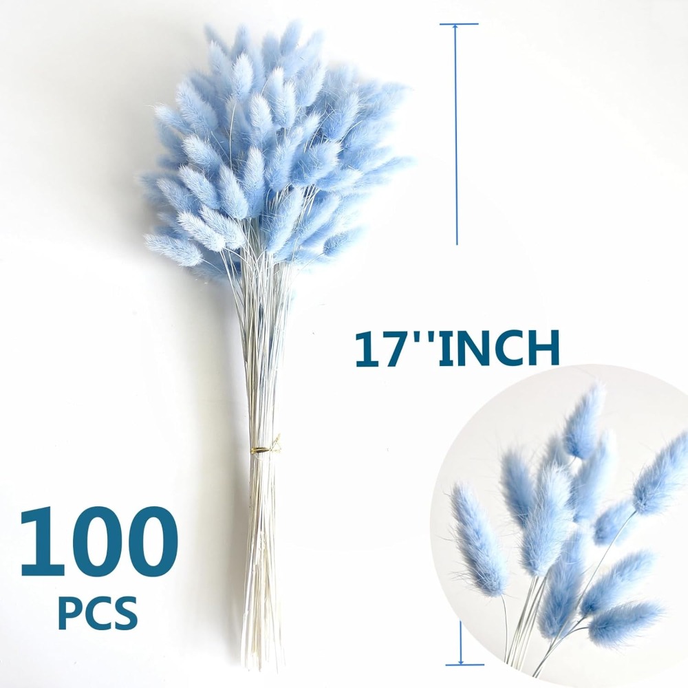 100 pièces bleu lièvre-queue h - Florist Supply Vases avis et prix