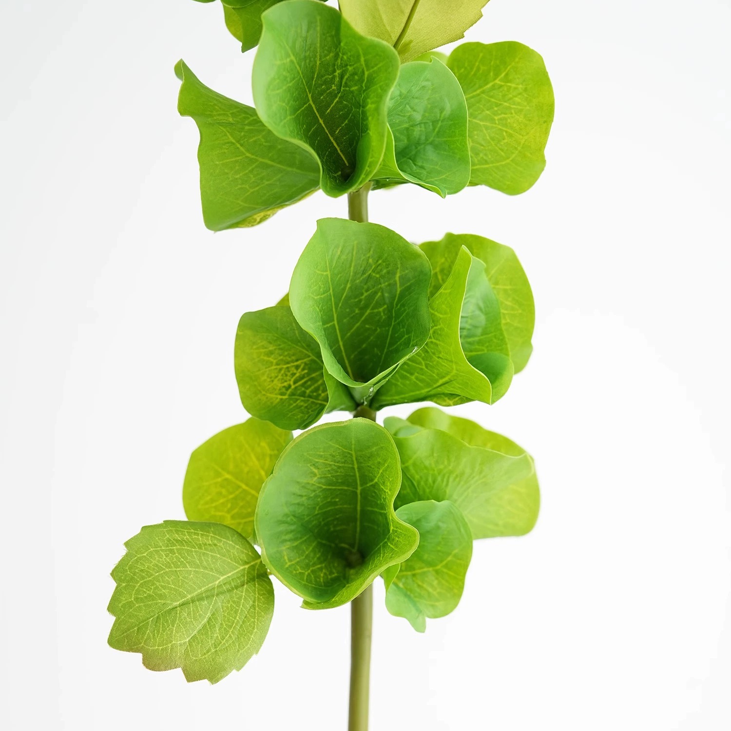 Fleurs de coquillage artificie - Florist Supply Bulk avis et prix