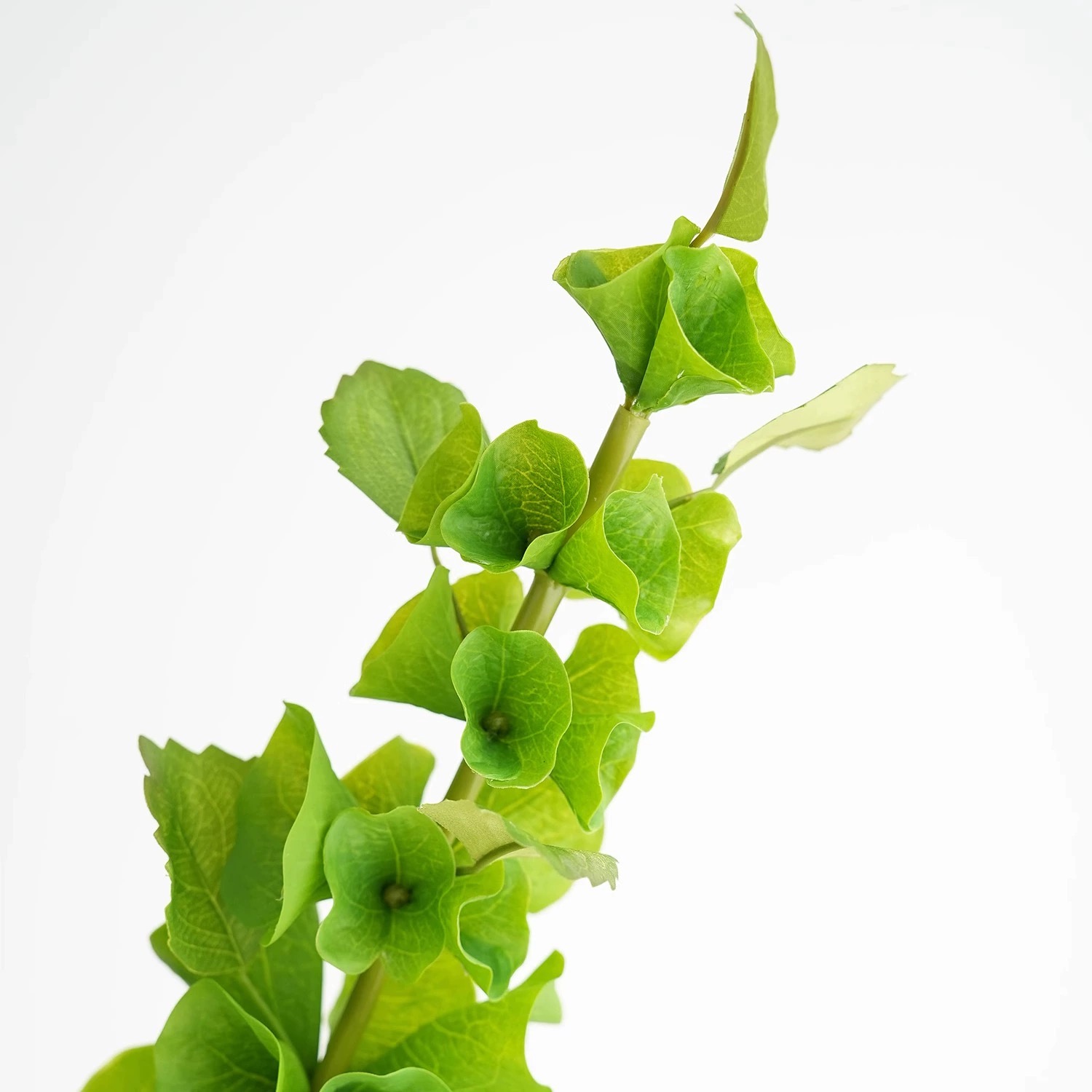 Fleurs de coquillage artificie - Florist Supply Bulk avis et prix